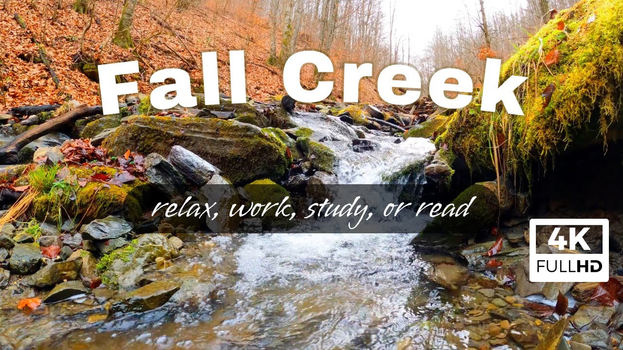 🍂 Fall Creek with relaxing ASMR audio to sleep to or watch in the background