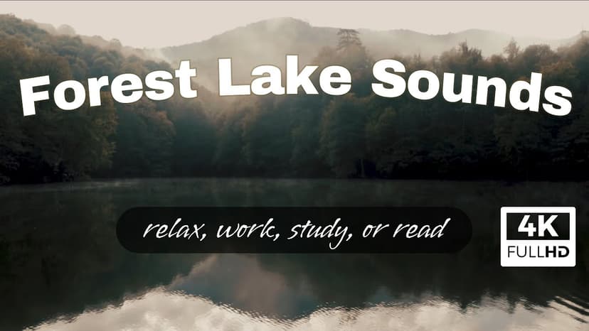 🌲 Forest lake sounds for relaxation, study, meditation, and sleep.