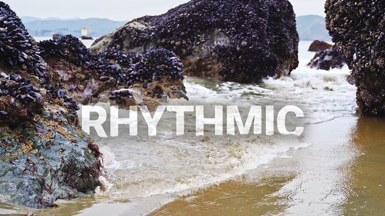 Rhythmic Ocean Tide: Engulfing Natural Wave Sounds